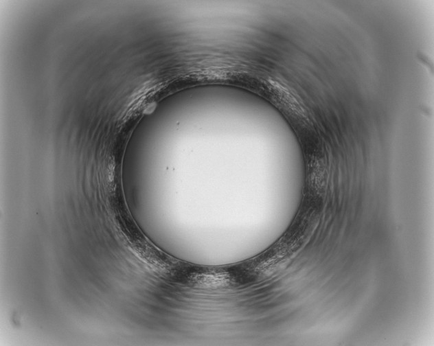 X0000098110548200804181454