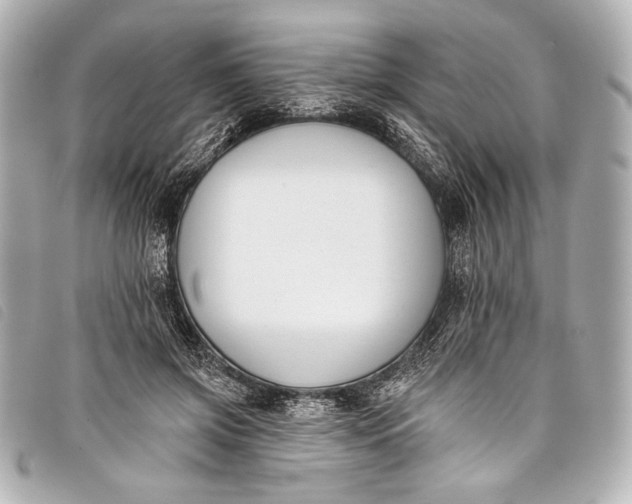 X0000098110549200804181454