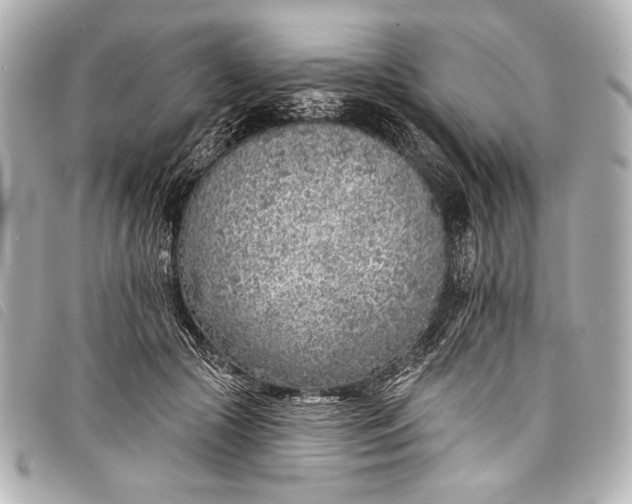 X0000098110553200804181455