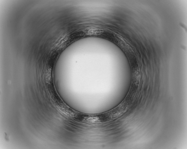 X0000098110554200804181455