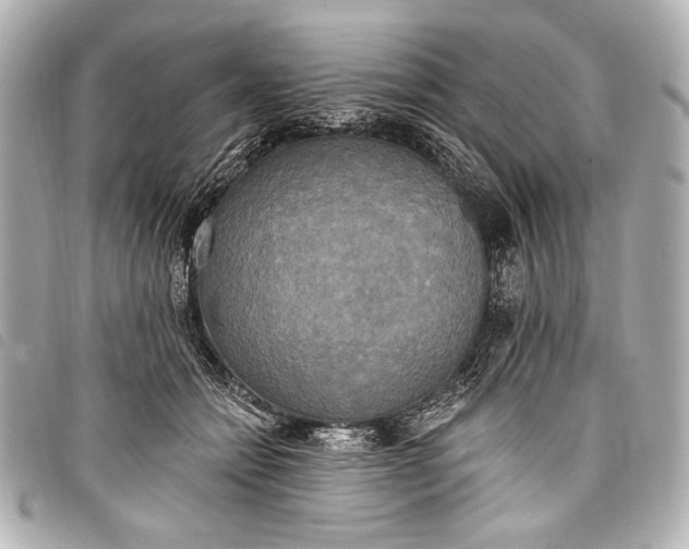 X0000098110558200804181455