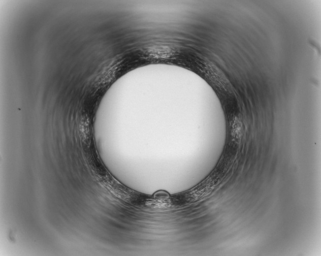 X0000098110559200804181455