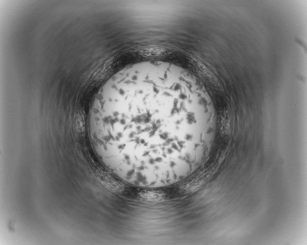 X0000098110561200804181455