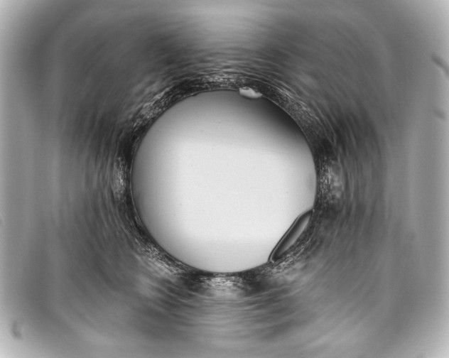 X0000098110566200804181455