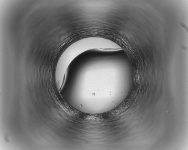 X0000098110568200804181455