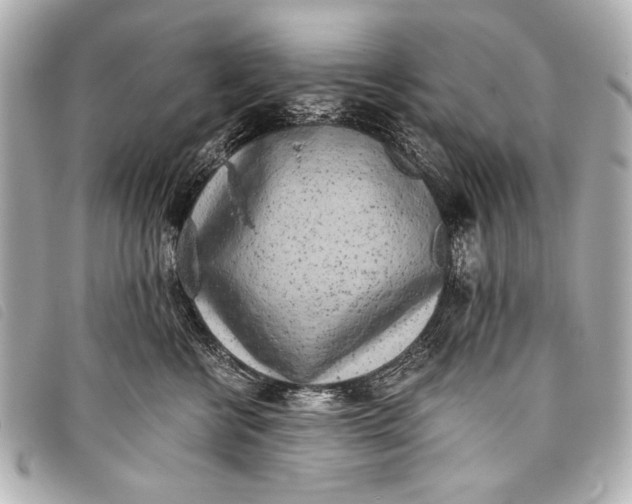 X0000098110570200804181455