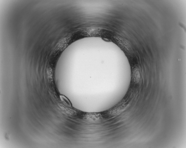 X0000098110571200804181455