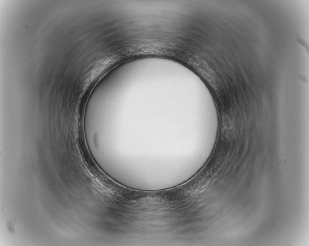 X0000098110578200804181454