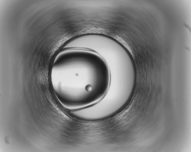 X0000098110581200804181454