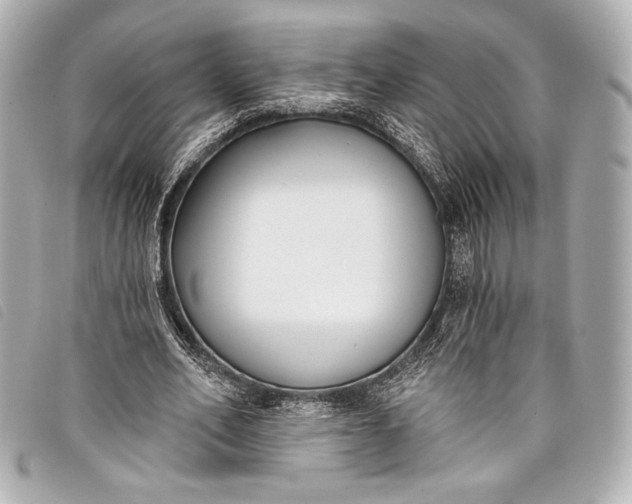 X0000098110582200804181454