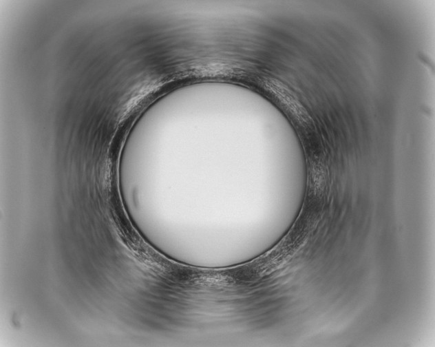 X0000098110583200804181454