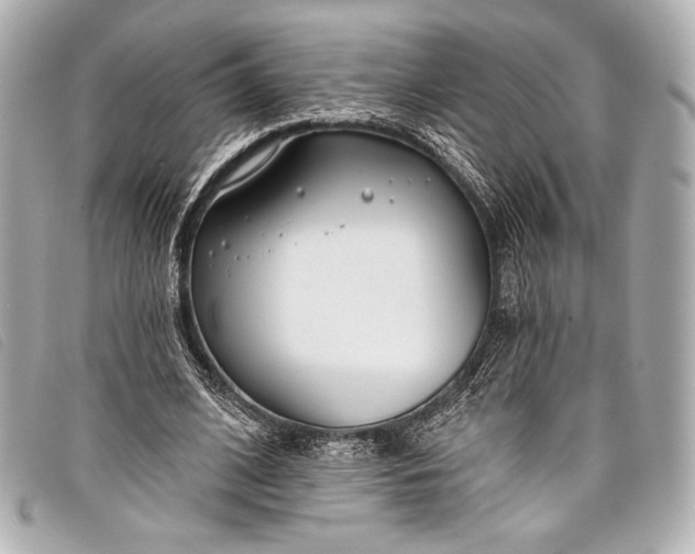X0000098110584200804181454