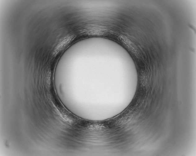 X0000098110586200804181454