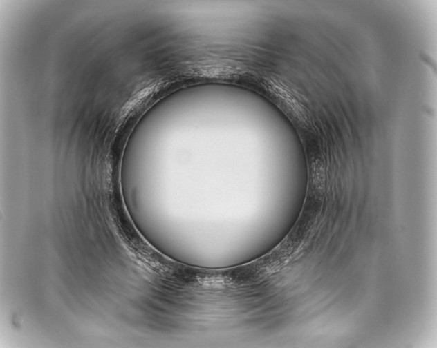 X0000098110587200804181454