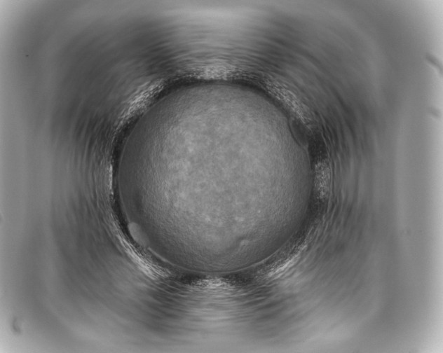 X0000098110589200804181454