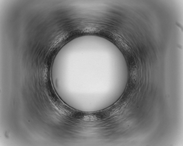 X0000098110591200804181454