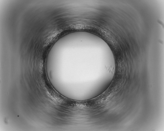 X0000098110592200804181454