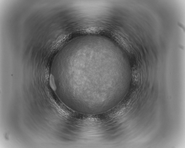X0000098110593200804181454