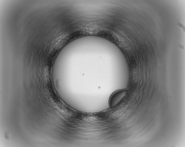 X0000098110594200804181454