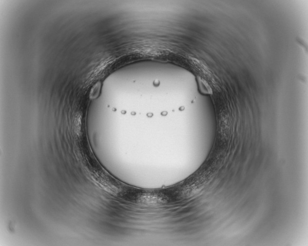 X0000098110596200804181454