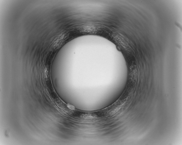 X0000098110597200804181454