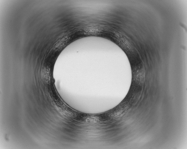 X0000098110599200804181454