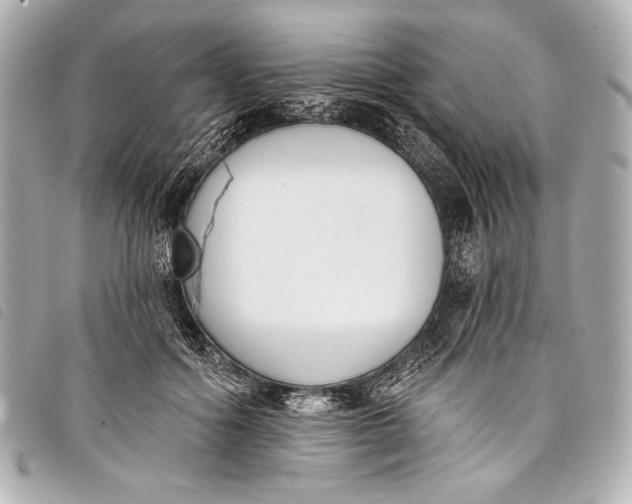 X0000098110602200804181454