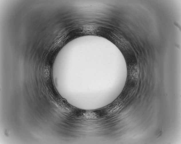 X0000098110603200804181454