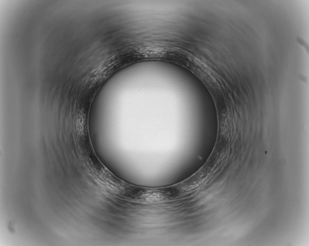 X0000098110604200804181454