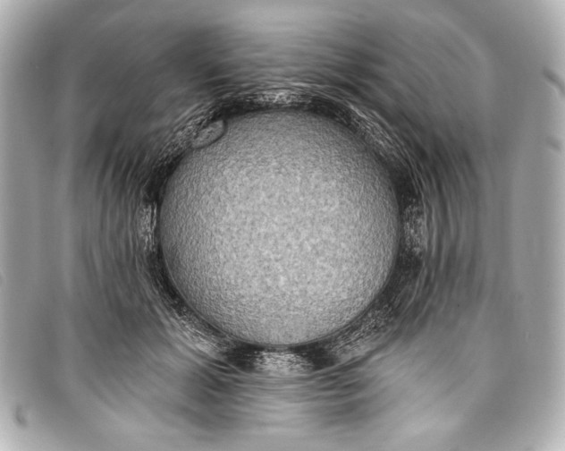 X0000098110605200804181454