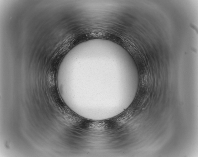 X0000098110606200804181454