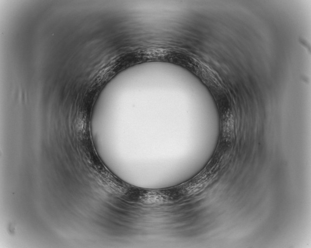 X0000098110608200804181454