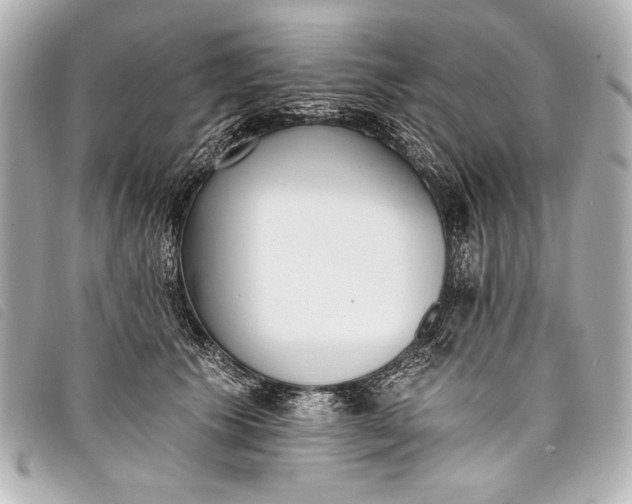 X0000098110609200804181453