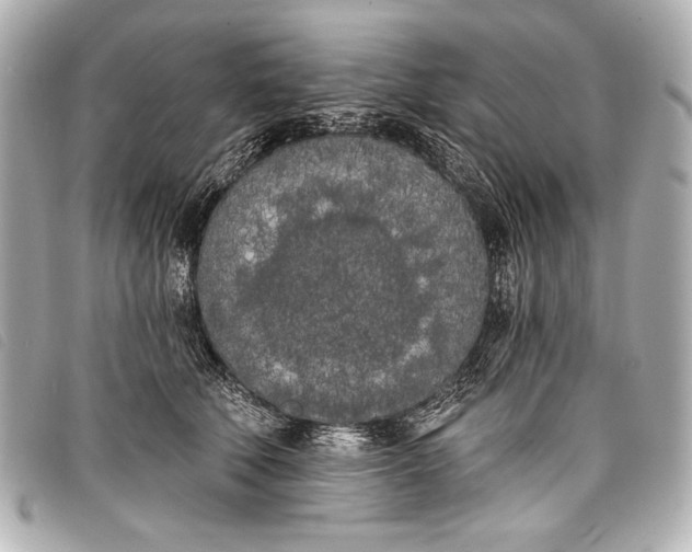 X0000098110610200804181453