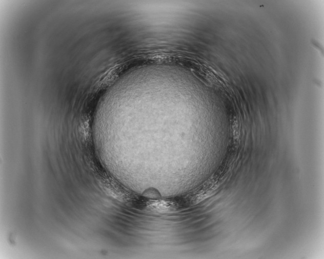 X0000098110611200804181453