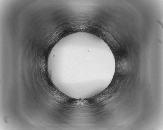 X0000098110612200804181453