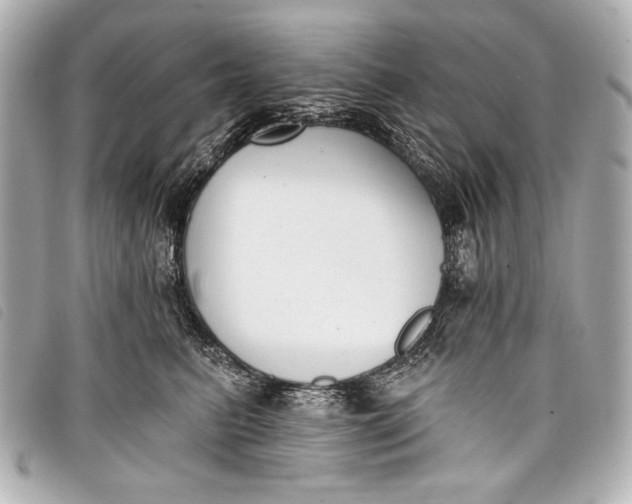 X0000098110615200804181453