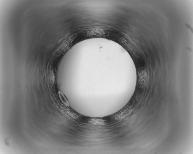 X0000098110617200804181453