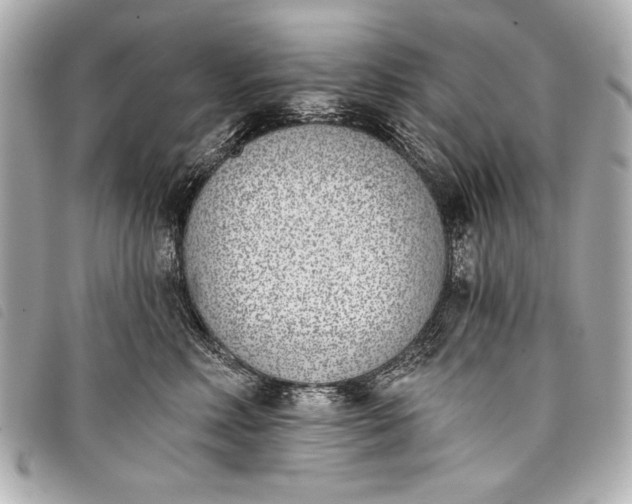 X0000098110618200804181453