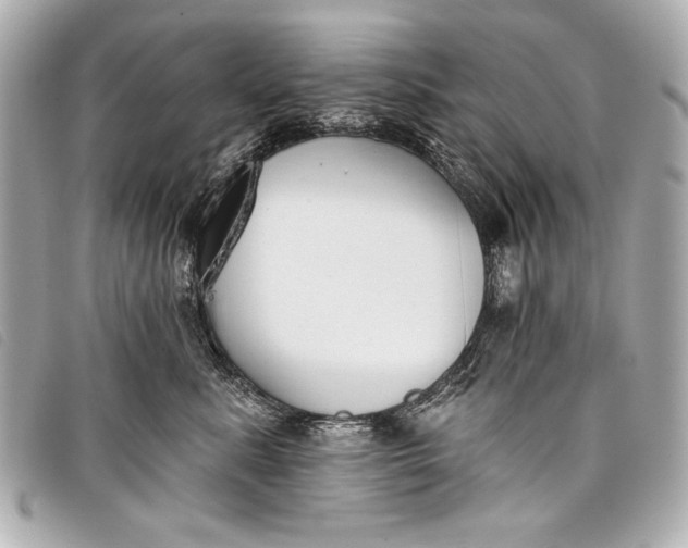 X0000098110619200804181453