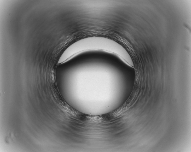 X0000098110621200804181453