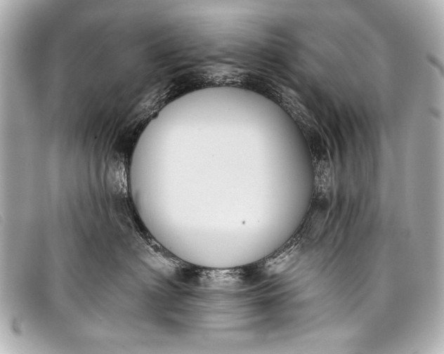 X0000098110622200804181453