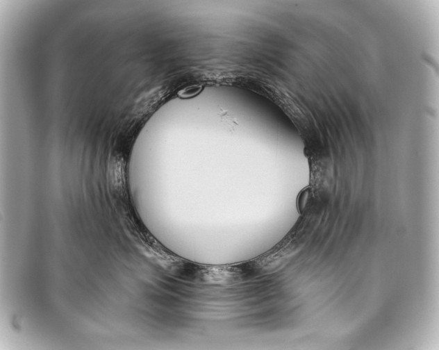 X0000098110623200804181453