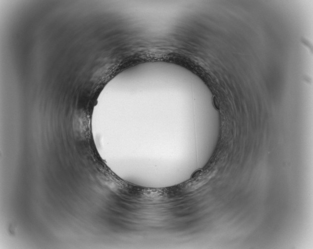 X0000098110624200804181453