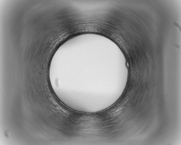 X0000098110625200804181452