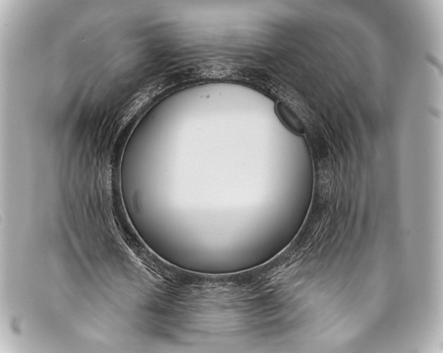X0000098110626200804181452