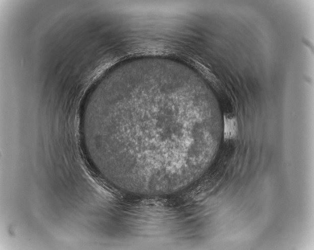 X0000098110627200804181452