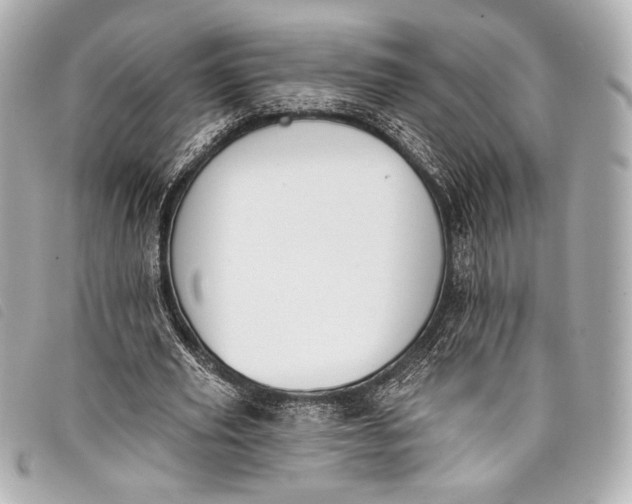 X0000098110629200804181452