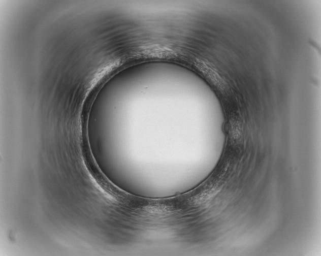X0000098110630200804181453