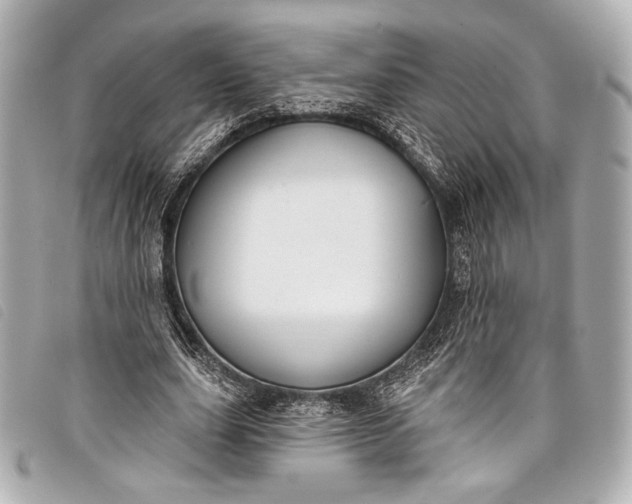 X0000098110631200804181453